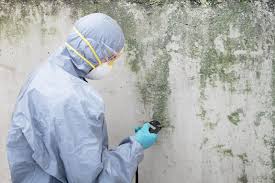 Best Environmental Consulting for Mold Prevention  in Janesville, IA